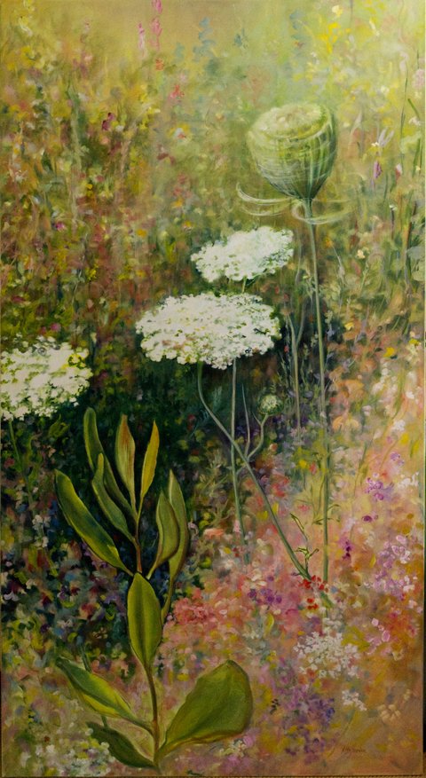 Queen Ann 's Lace at the Side of the Road PEI