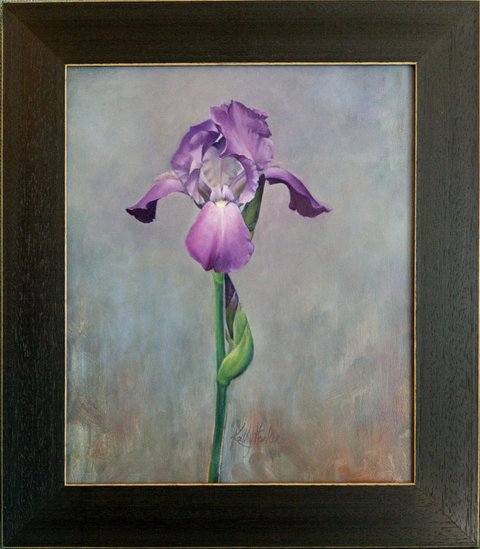 Single Purple Bearded Iris