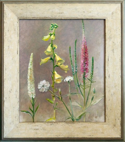 Foxglove, Veronica, White Rose Campion