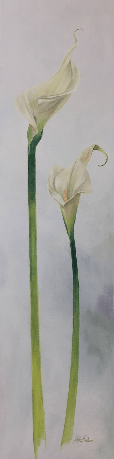 Two Giant White Calla Lilies (SOLD)